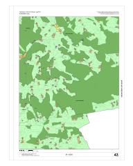 43. list grafike OPN